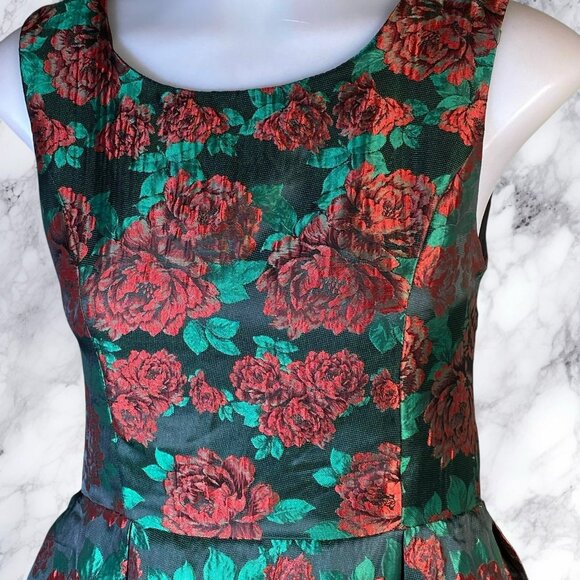 Pink Martini Carnation Floral Jacquard Dress - Picture 4 of 11